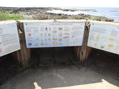 Île de Groix, de Port Tudy à Locmaria, 27 mai 2023<br>@copyleft <a href=https://www.le-fab-lab.com>Le Fab'Blab</a> Licence Art Libre, 2023-05-23-Groix-PortTudy-Locmaria-154