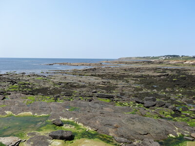 Île de Groix, de Port Tudy à Locmaria, 27 mai 2023<br>@copyleft <a href=https://www.le-fab-lab.com>Le Fab'Blab</a> Licence Art Libre, 2023-05-23-Groix-PortTudy-Locmaria-160