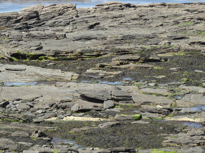 Île de Groix, de Port Tudy à Locmaria, 27 mai 2023<br>@copyleft <a href=https://www.le-fab-lab.com>Le Fab'Blab</a> Licence Art Libre, 2023-05-23-Groix-PortTudy-Locmaria-162