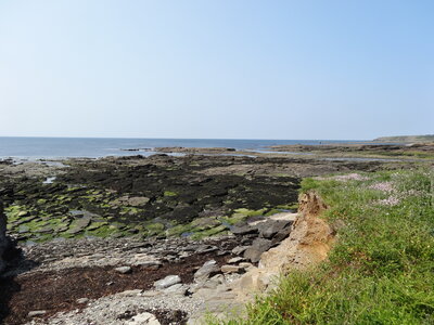 Île de Groix, de Port Tudy à Locmaria, 27 mai 2023<br>@copyleft <a href=https://www.le-fab-lab.com>Le Fab'Blab</a> Licence Art Libre, 2023-05-23-Groix-PortTudy-Locmaria-163