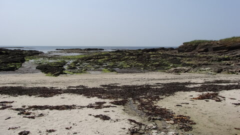 Île de Groix, de Port Tudy à Locmaria, 27 mai 2023<br>@copyleft <a href=https://www.le-fab-lab.com>Le Fab'Blab</a> Licence Art Libre, 2023-05-23-Groix-PortTudy-Locmaria-167