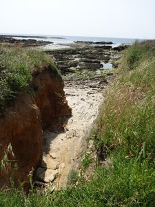 Île de Groix, de Port Tudy à Locmaria, 27 mai 2023<br>@copyleft <a href=https://www.le-fab-lab.com>Le Fab'Blab</a> Licence Art Libre, 2023-05-23-Groix-PortTudy-Locmaria-168