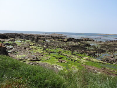 Île de Groix, de Port Tudy à Locmaria, 27 mai 2023<br>@copyleft <a href=https://www.le-fab-lab.com>Le Fab'Blab</a> Licence Art Libre, 2023-05-23-Groix-PortTudy-Locmaria-172