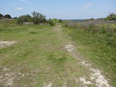 Île de Groix, de Port Tudy à Locmaria, 27 mai 2023<br>@copyleft <a href=https://www.le-fab-lab.com>Le Fab'Blab</a> Licence Art Libre, 2023-05-23-Groix-PortTudy-Locmaria-181