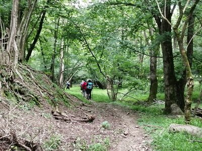 Sortie Lac de Come du 25 juin au 1er juillet, 279