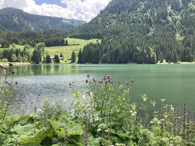 Vacances en Haute Savoie (Vallée d'Abondance, Suisse), IMG_1771