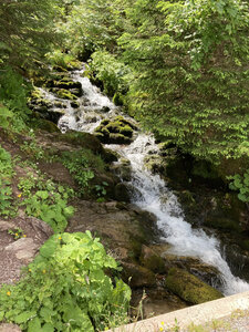 Vacances en Haute Savoie (Vallée d'Abondance, Suisse), IMG_0651