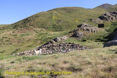 Cime de Clausis, Cime de Clausis 009