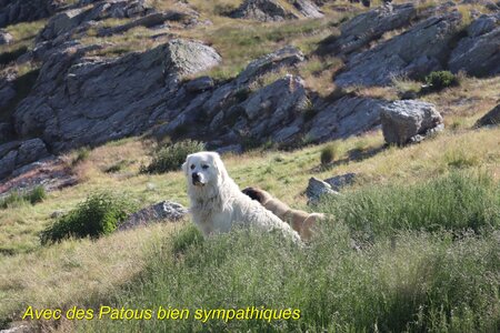 Cime de Clausis, Cime de Clausis 010