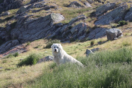 Cime de Clausis, Cime de Clausis 012