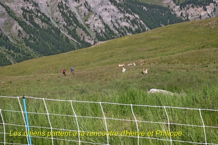 Cime de Clausis, Cime de Clausis 013