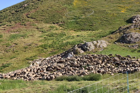 Cime de Clausis, Cime de Clausis 019