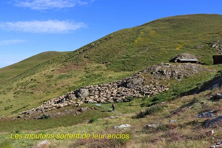 Cime de Clausis, Cime de Clausis 020