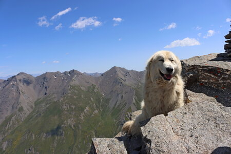 Cime de Clausis, Cime de Clausis 036