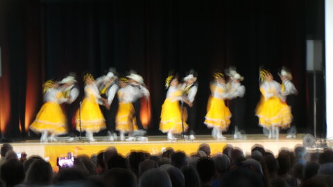 Danses sur Saône 2023, gala_09