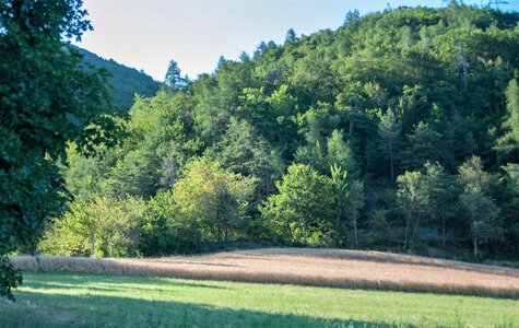 Avançon-Le Forest Charpin (aller-retour) 25072023, 25072023-DSC_0006