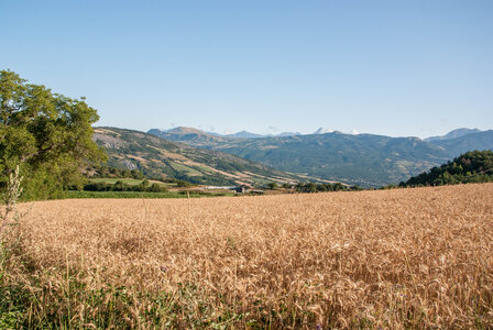 Avançon-Le Forest Charpin (aller-retour) 25072023, 25072023-DSC_0008