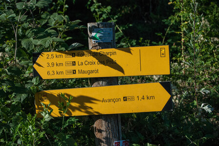 Avançon-Le Forest Charpin (aller-retour) 25072023, 25072023-DSC_0014
