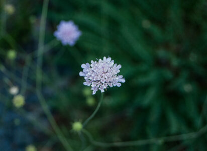Avançon-Le Forest Charpin (aller-retour) 25072023, 25072023-DSC_0025
