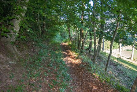Avançon-Le Forest Charpin (aller-retour) 25072023, 25072023-DSC_0032