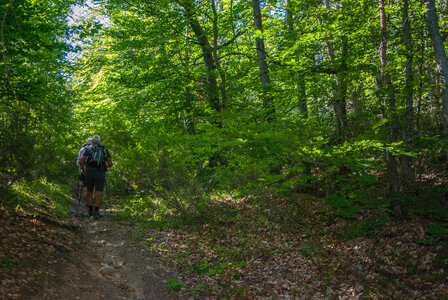 Avançon-Le Forest Charpin (aller-retour) 25072023, 25072023-DSC_0039