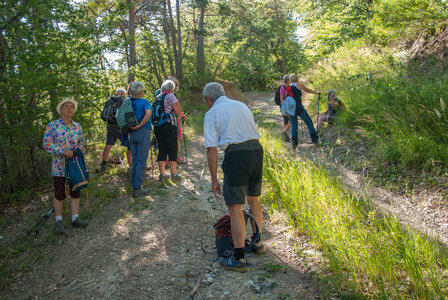 Avançon-Le Forest Charpin (aller-retour) 25072023, 25072023-DSC_0044