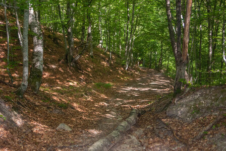 Avançon-Le Forest Charpin (aller-retour) 25072023, 25072023-DSC_0051