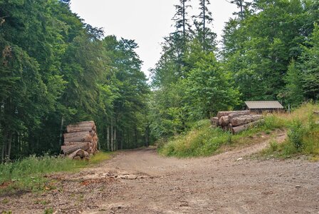 Avançon-Le Forest Charpin (aller-retour) 25072023, 25072023-DSC_0054