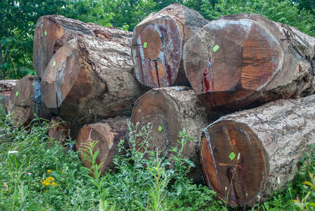 Avançon-Le Forest Charpin (aller-retour) 25072023, 25072023-DSC_0056