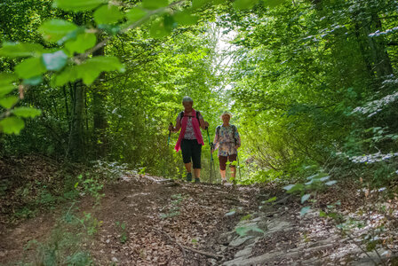 Avançon-Le Forest Charpin (aller-retour) 25072023, 25072023-DSC_0065