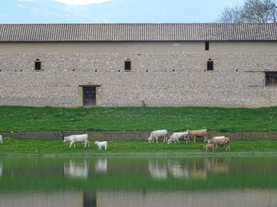 Saône, DSC01215