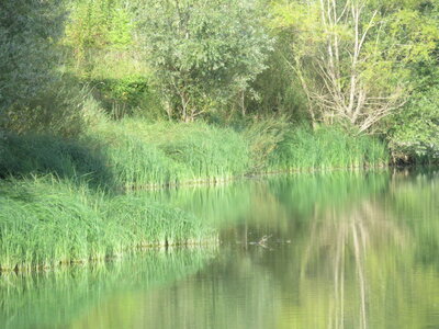 Saône, IMG_0280