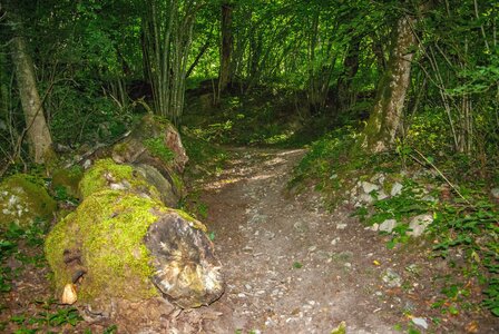 Boucle des sources de la Haute-Gillarde 27072023, 27072023-DSC_0083