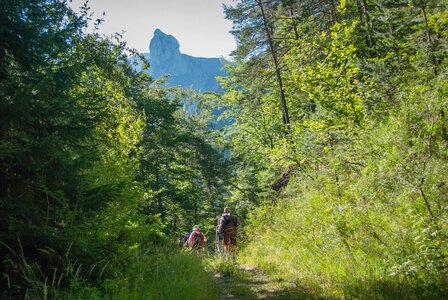Boucle des sources de la Haute-Gillarde 27072023, 27072023-DSC_0084
