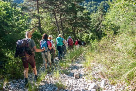 Boucle des sources de la Haute-Gillarde 27072023, 27072023-DSC_0087