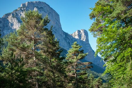 Boucle des sources de la Haute-Gillarde 27072023, 27072023-DSC_0091