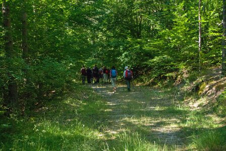 Boucle des sources de la Haute-Gillarde 27072023, 27072023-DSC_0098