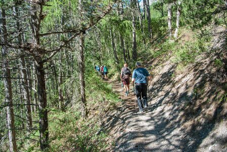 Boucle des sources de la Haute-Gillarde 27072023, 27072023-DSC_0108