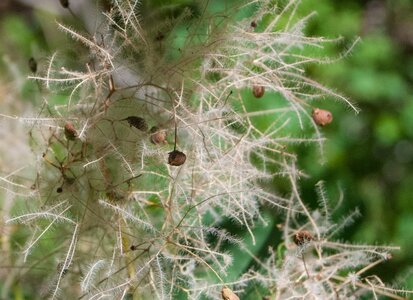 Boucle des sources de la Haute-Gillarde 27072023, 27072023-DSC_0119