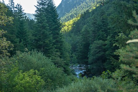 Boucle des sources de la Haute-Gillarde 27072023, 27072023-DSC_0122