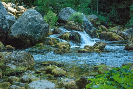 Boucle des sources de la Haute-Gillarde 27072023, 27072023-DSC_0126