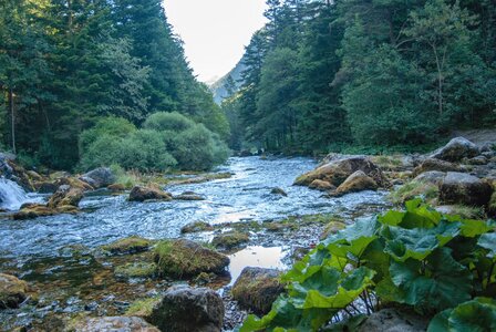 Boucle des sources de la Haute-Gillarde 27072023, 27072023-DSC_0128