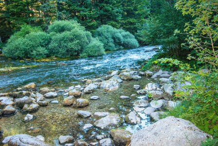 Boucle des sources de la Haute-Gillarde 27072023, 27072023-DSC_0132
