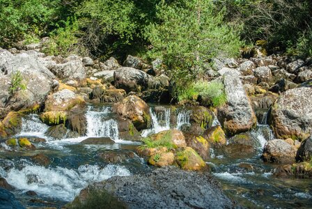 Boucle des sources de la Haute-Gillarde 27072023, 27072023-DSC_0135