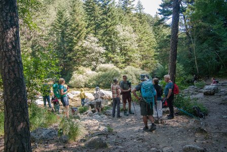 Boucle des sources de la Haute-Gillarde 27072023, 27072023-DSC_0139