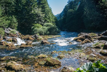 Boucle des sources de la Haute-Gillarde 27072023, 27072023-DSC_0141