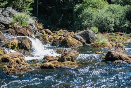 Boucle des sources de la Haute-Gillarde 27072023, 27072023-DSC_0142