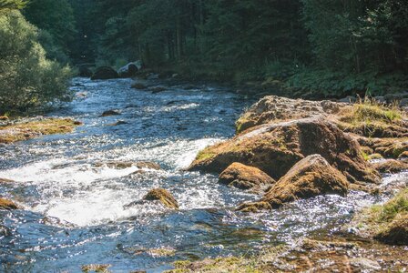 Boucle des sources de la Haute-Gillarde 27072023, 27072023-DSC_0143