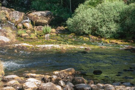 Boucle des sources de la Haute-Gillarde 27072023, 27072023-DSC_0147