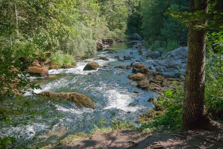 Boucle des sources de la Haute-Gillarde 27072023, 27072023-DSC_0150